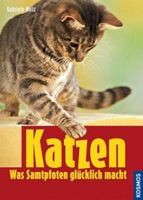 Katzen. Was Samtpfoten glücklich macht