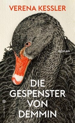 Die Gepsenster von Demmin