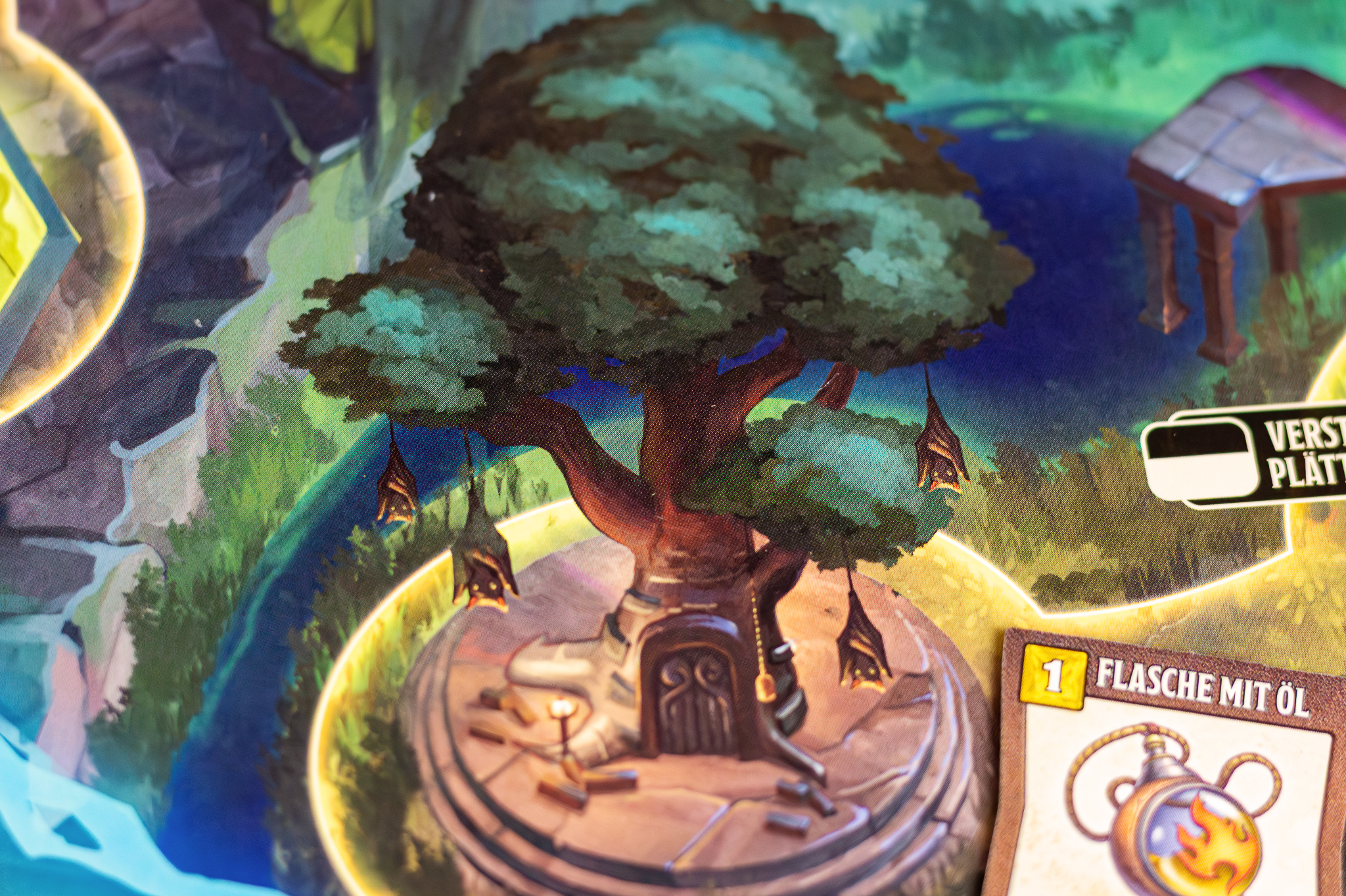 20251130 123030 Janett 8790