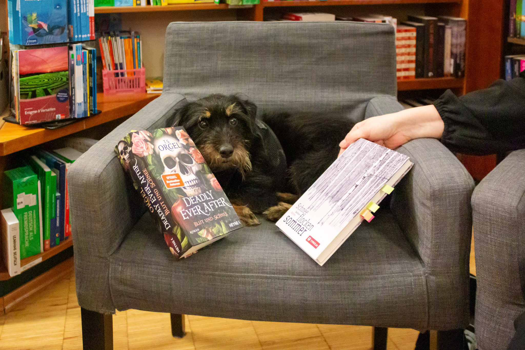 Hund Dr. Watson neben den beiden Büchern