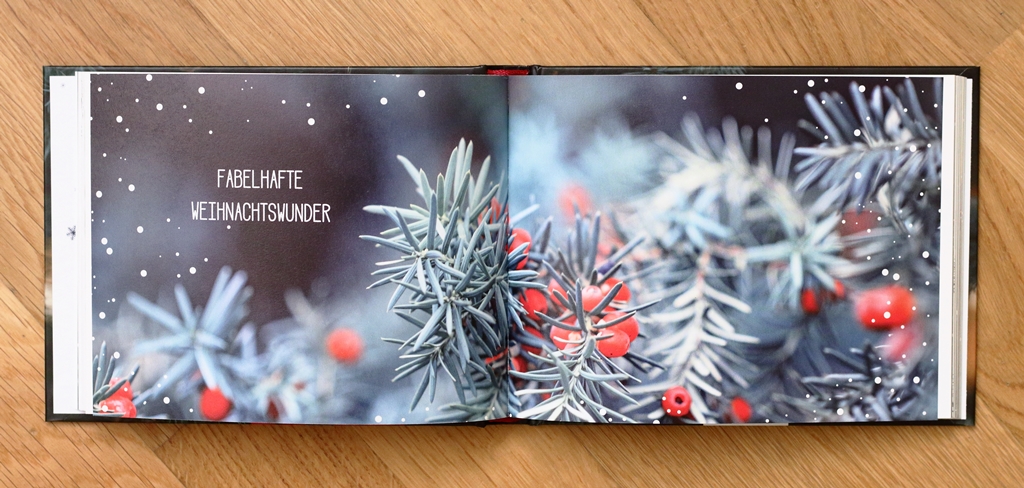 Das kleine Buch der Weihnachtswunder