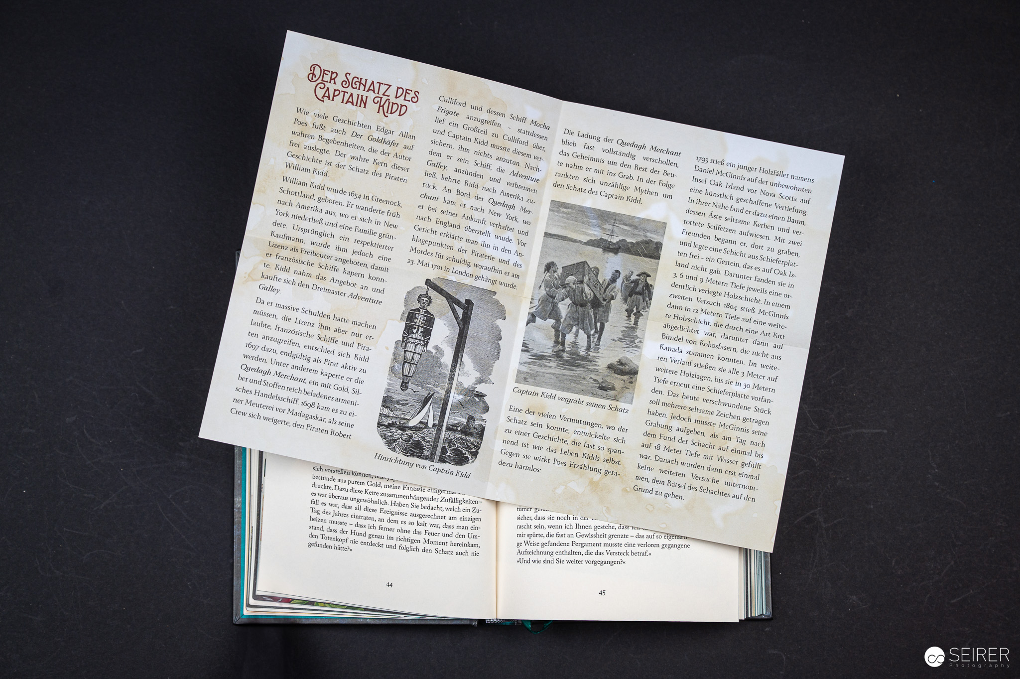 Der Doppelmord in der Rue Morgue und andere Kriminalgeschichten