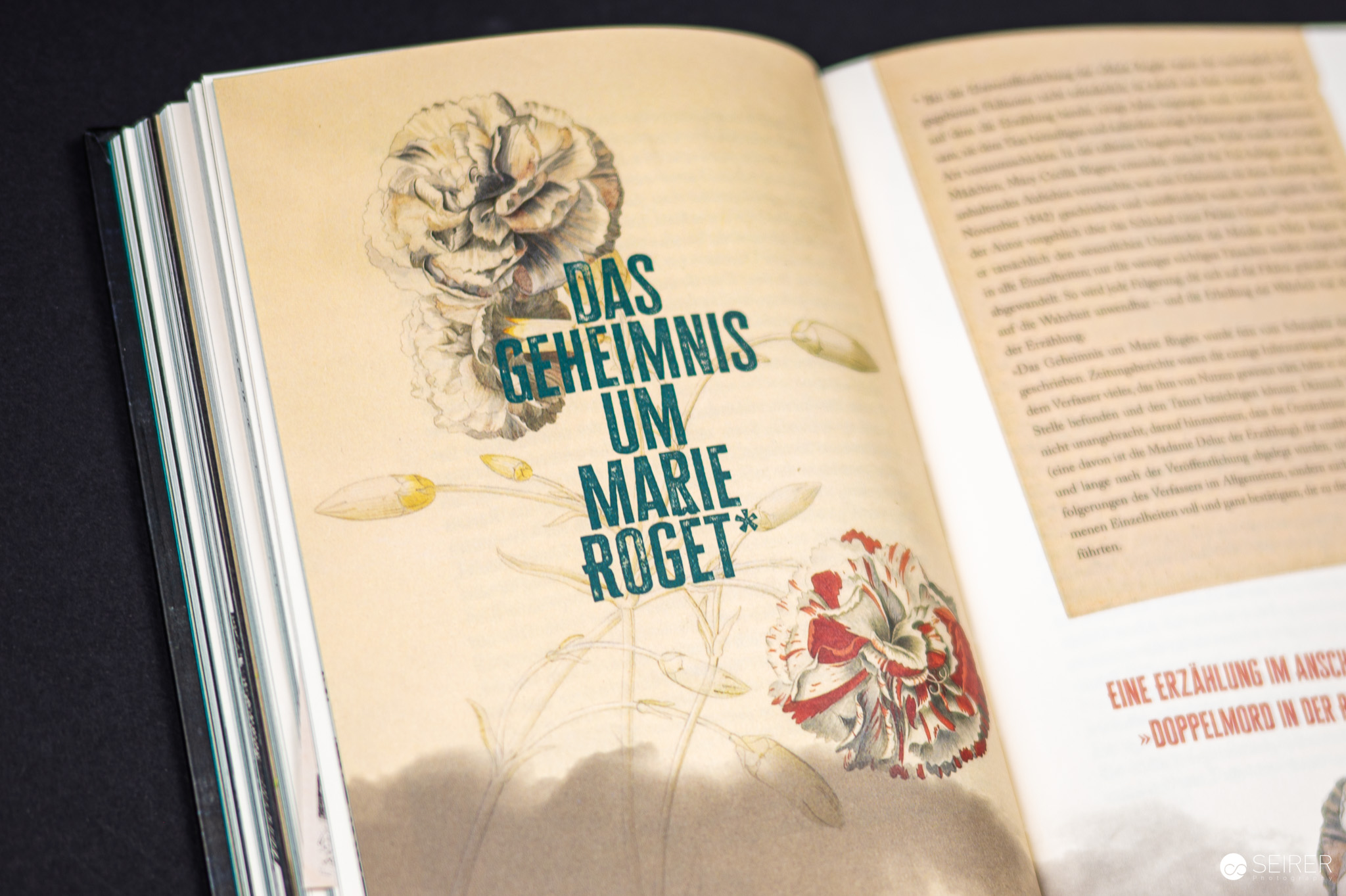 Der Doppelmord in der Rue Morgue und andere Kriminalgeschichten