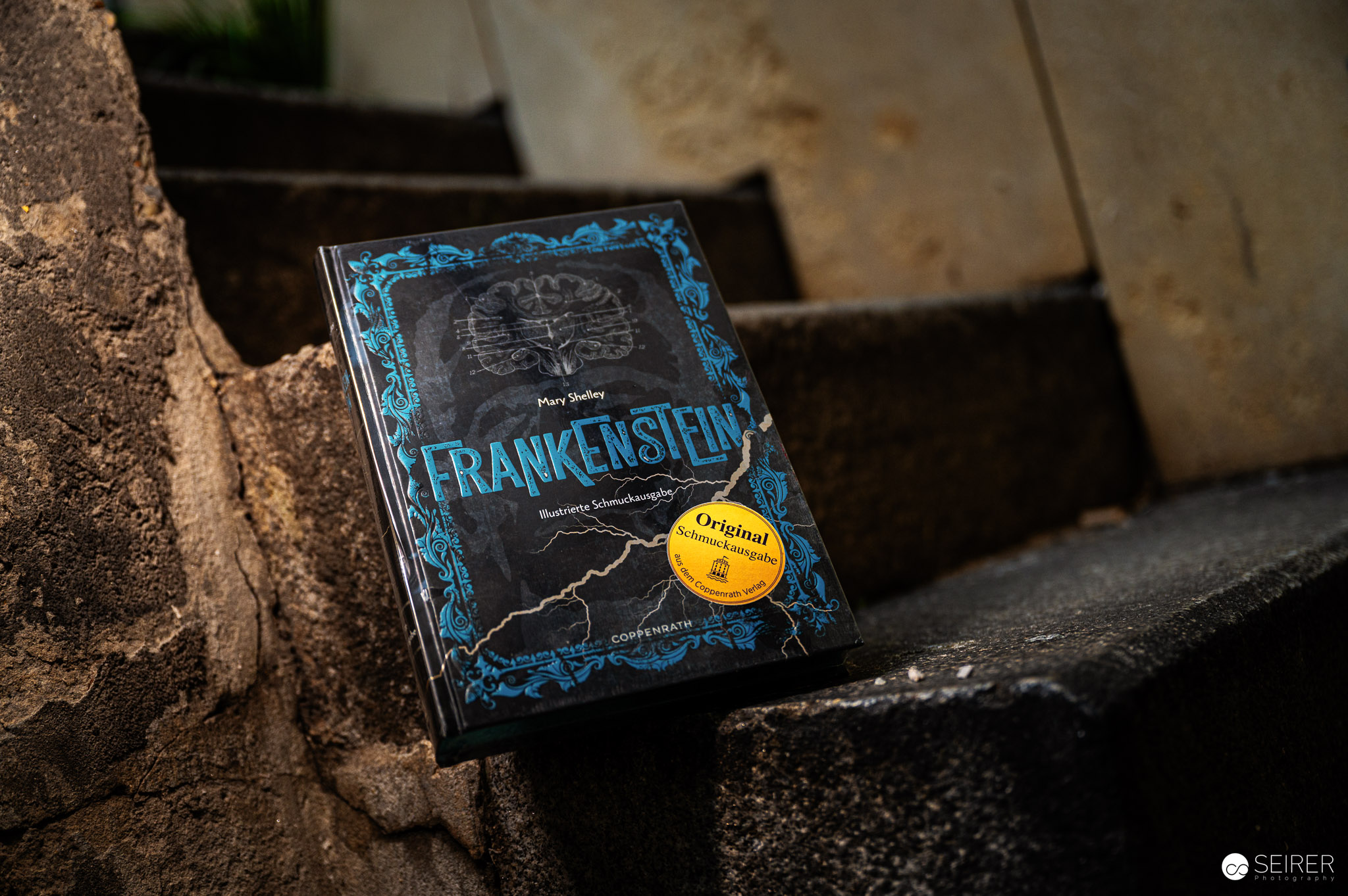 Mary Shelleys: Frankenstein oder Der moderne Prometheus