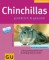 Chinchillas - glücklich & gesund